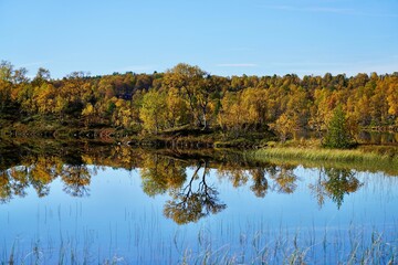 Fall coloured trees line the shore of the Stroemme-elva river north of Roeros, Norway