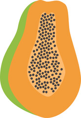 Hand drawn papaya fruit vector flat illustration