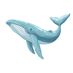 Whale. Isolated on a white background. Vector illustration.