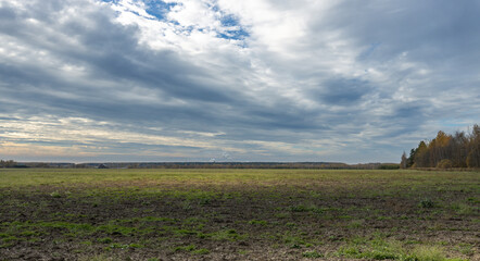 Obraz premium A field with a cloudy sky in the background