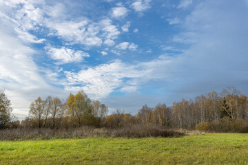 Obraz premium A field with trees and a clear blue sky