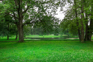 A peaceful glade features a calm lake, framed by majestic trees and vibrant green grass under the gentle glow of morning light.