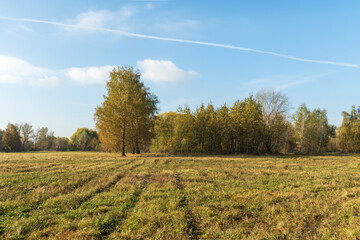 Autumn field with forest in the background. Autumn landscape with trees