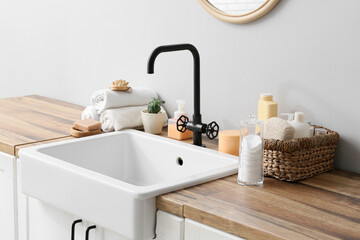 Sink, houseplant and bath accessories near light wall in bathroom