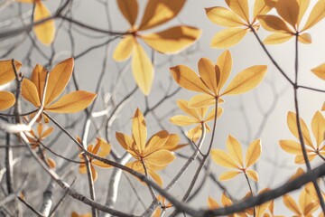 Autumn leaves with golden tones on delicate branches in soft lighting