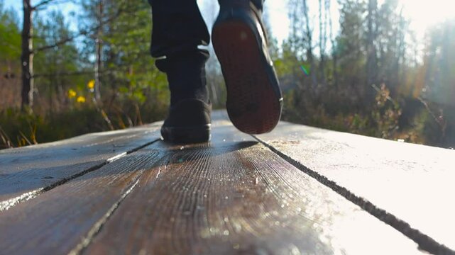 Back view man dressed in black walking on wooden boardwalk in bog slow motion while sun is shining during autumn. Ground view walking over camera and into distance at P&auml;&auml;sk&uuml;la raba, bog in Estonia