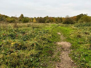 Scrubland with rough ground and bushes in the distance