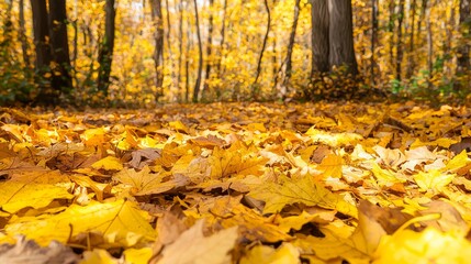 Enchanting Autumn Scene: Vibrant Leaves Fluttering Down to Create a Colorful Forest Carpet - Ultra-Detailed Nature Photography