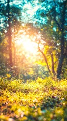 Obraz premium A serene forest scene with sunlight filtering through trees and grass.