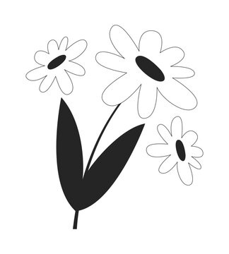 Fototapeta Chamomile bunch black and white 2D line object. Camomile flowers. Springtime wildflowers. Daisy blossoms floral. Medicinal plant isolated clip art vector outline item. Monochromatic spot illustration