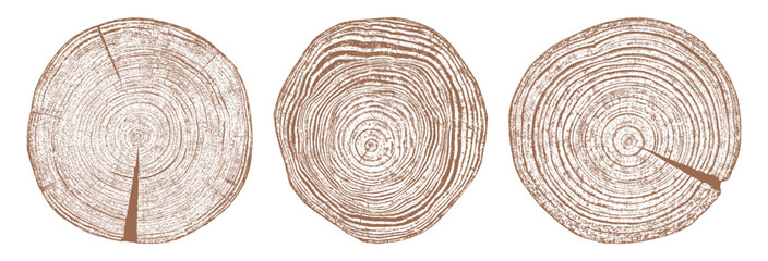 Tree wood texture. Wooden old trunk. Cut timber log. Abstract rings nature pattern. Brown circle stump. Wood cross section. Set vector illustration. EPS 10.