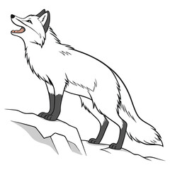 vector Drawing of Arctic fox 