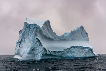 Iceberg drifting off the coast of South Georgia. Antarctica.