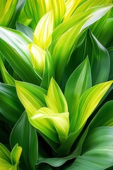 Green and Yellow Leaves Texture