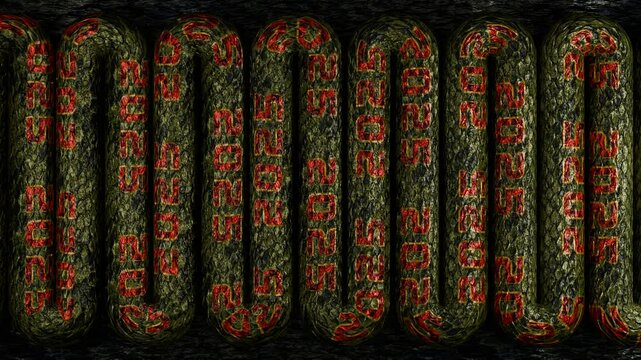A 3D loop animation showing the movement of a long snake body with the inscription 2025. The idea of the Chinese new year, the year of the snake according to the Eastern calendar.