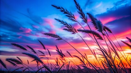 Closeup of Prairie Grass Silhouette at Twilight: A Serene Natural Scene Captured in Elegant Fashion Photography for Nature Lovers and Landscape Enthusiasts