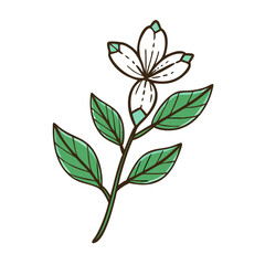 illustration of a flower