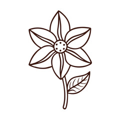 illustration of a flower