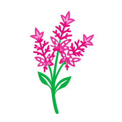 astilbe flower vector icon, vector flower illustration, flower icon - simple vector illustration of a astilbe flower, ideal for floral designs, botanical art, and nature-themed projects..