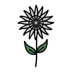 Obraz premium bee balm flower vector icon, vector flower illustration, flower icon - simple vector illustration of a bee balm flower, ideal for floral designs, botanical art, and nature-themed projects..