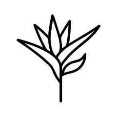 illustration of a flower