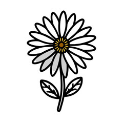 calendula flower vector icon, vector flower illustration, flower icon - simple vector illustration of a calendula flower, ideal for floral designs, botanical art, and nature-themed projects..
