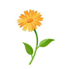 calendula flower vector icon, vector flower illustration, flower icon - simple vector illustration of a calendula flower, ideal for floral designs, botanical art, and nature-themed projects..