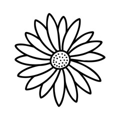 illustration of a flower