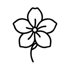 illustration of a flower