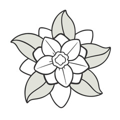 gardenia flower vector icon, vector flower illustration, flower icon - simple vector illustration of a gardenia flower, ideal for floral designs, botanical art, and nature-themed projects..