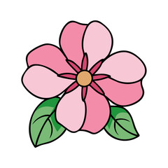 impatiens flower vector icon, vector flower illustration, flower icon - simple vector illustration of a impatiens flower, ideal for floral designs, botanical art, and nature-themed projects..