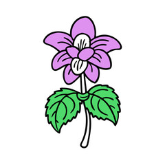 illustration of a flower