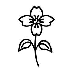 illustration of a flower