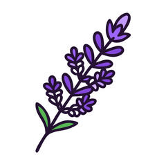 lavender flower vector icon, vector flower illustration, flower icon - simple vector illustration of a lavender flower, ideal for floral designs, botanical art, and nature-themed projects..