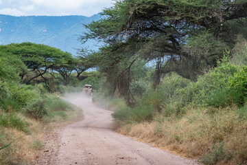 A jeep is driving down a bumpy dirt road winding through the African woods