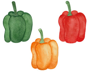 Watercolor vegetables set on white background. Hand drawn isolated fresh yellow, orange, red pepper paprika. Bell pepper.
