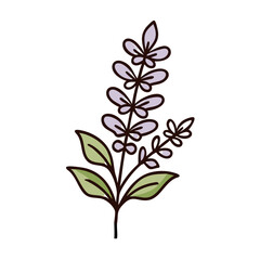 salvia flower vector icon, vector flower illustration, flower icon - simple vector illustration of a salvia flower, ideal for floral designs, botanical art, and nature-themed projects..