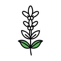 salvia flower vector icon, vector flower illustration, flower icon - simple vector illustration of a salvia flower, ideal for floral designs, botanical art, and nature-themed projects..