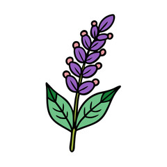 salvia flower vector icon, vector flower illustration, flower icon - simple vector illustration of a salvia flower, ideal for floral designs, botanical art, and nature-themed projects..