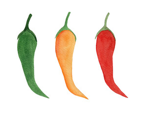 Watercolor vegetables set on white background. Hand drawn isolated fresh yellow, orange, red pepper paprika. Bell pepper.