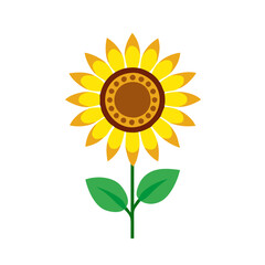 sunflower  vector icon, vector flower illustration, flower icon - simple vector illustration of a sunflower , ideal for floral designs, botanical art, and nature-themed projects..