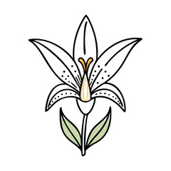 toad lily flower vector icon, vector flower illustration, flower icon - simple vector illustration of a toad lily flower, ideal for floral designs, botanical art, and nature-themed projects..