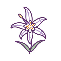 toad lily flower vector icon, vector flower illustration, flower icon - simple vector illustration of a toad lily flower, ideal for floral designs, botanical art, and nature-themed projects..