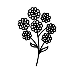 yarrow flower vector icon, vector flower illustration, flower icon - simple vector illustration of a yarrow flower, ideal for floral designs, botanical art, and nature-themed projects..