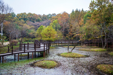 오산 물향기수목원