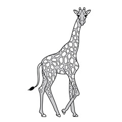 giraffe isolated on the white, Giraffe silhouette vector art illustration