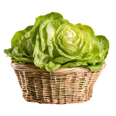 Fototapeta premium cabbage in a basket