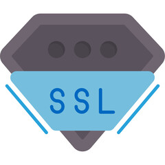 SSL Certificate Icon