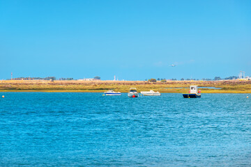 Obraz premium Formosa river. Faro, Algarve, Portugal
