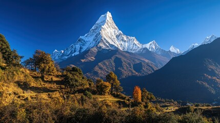 Fototapeta premium Majestic snow-capped mountain peak rising above a valley with autumnal foliage and a clear blue sky.